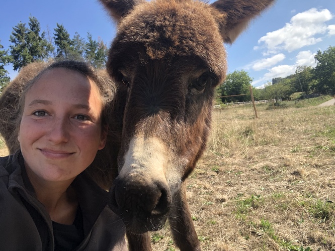 Julie et Masha Production de lait d'ânesse dans la Loire